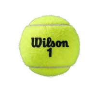 Load image into Gallery viewer, Wilson Roland Garros Official Ball - Clay Court - 4 Ball Can
