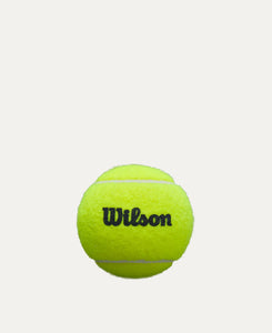 Wilson x Padel Australia Padel Premium Balls BOX (24 x 3 Ball Can)