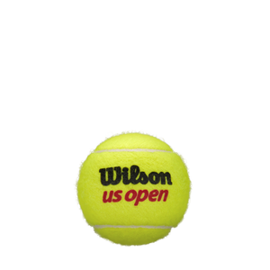 Wilson US OPEN Ball - All Court - 4 Ball Can